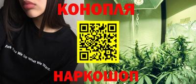 стафф Новодвинск