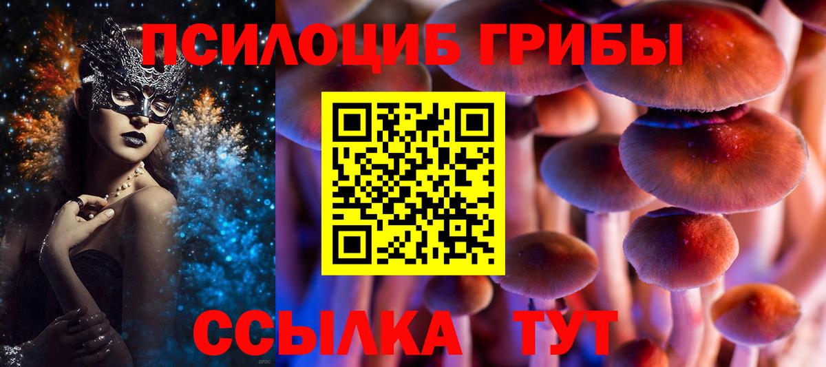 Шали  Псилоцибиновые грибы Cubensis  Вход с VPN 